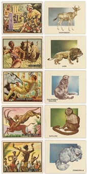 1950 Topps "Bring Em Back Alive" and 1951 Topps "Animals of the World" Complete Sets Pair (2)